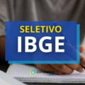 Processo seletivo IBGE abre edital com 42 vagas