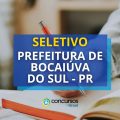 Prefeitura de Bocaiuva do Sul – PR abre edital de seleção