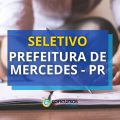 Prefeitura de Mercedes – PR abre novo edital de processo seletivo