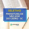 Prefeitura de São José do Cedro - SC lança seletivo