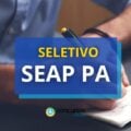 SEAP – PA promove novo processo seletivo; 199 vagas