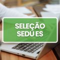 SEDU ES: edital nº 04/2024 de processo seletivo é publicado