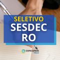 SESDEC RO abre mais de 280 vagas em processo seletivo