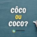 Côco ou coco: como se escreve o nome da fruta?