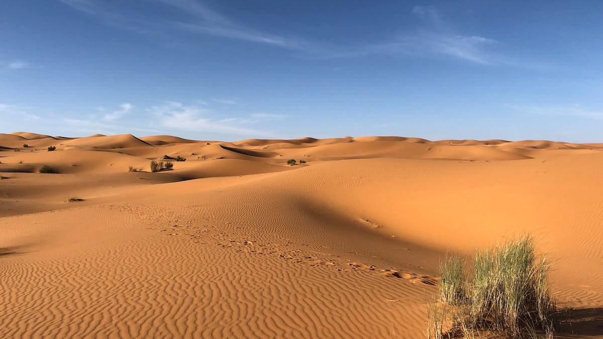 Afinal de contas, em qual país fica o Deserto de Saara, Em que país fica o deserto do Saara, Qual é a localização do deserto, Quem é dono do deserto do Saara, Qual é o nome do maior deserto do mundo.