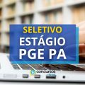 Estágio PGE PA oferece bolsas de até R$ 1,3 mil