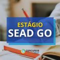 Estágio SEAD GO abre 151 vagas em processo seletivo