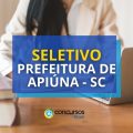 Prefeitura de Apiúna – SC abre vagas em novo seletivo