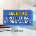 Prefeitura de Prata – MG abre vagas em processo seletivo