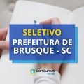 Prefeitura de Brusque – SC abre dois editais de processo seletivo