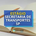 Estágio Secretaria de Transportes SP tem novo edital publicado