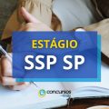 Estágio SSP SP: processo seletivo com mais de 40 vagas