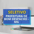 Prefeitura de Bom Despacho – MG abre vagas em seletivo