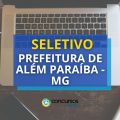 Prefeitura de Além Paraíba – MG abre seletivo; vagas imediatas