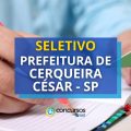 Prefeitura de Cerqueira César – SP abre edital de processo seletivo