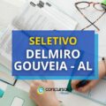 Prefeitura de Delmiro Gouveia – AL abre processo seletivo