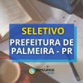 Prefeitura de Palmeira – PR divulga novo processo seletivo