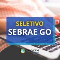 SEBRAE GO abre processo seletivo; remuneração de R$ 7,9 mil