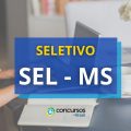 SEL MS divulga processo seletivo; até R$ 6.107,97 por mês