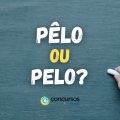 “Pêlo” ou “Pelo”: descubra se a palavra tem acento circunflexo