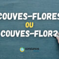 "Couves-flores" ou "Couves-flor": qual é o plural correto?