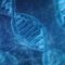 A inteligência é totalmente determinada pela genética? Confira estudos