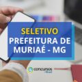 Prefeitura de Muriaé – MG lança edital de processo seletivo