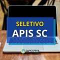 APIS SC abre processo seletivo; remuneração até R$ 9,9 mil