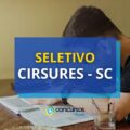 CIRSURES – SC abre processo seletivo; até R$ 8 mil