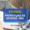 Estágio Prefeitura de Muriaé – MG: edital e inscrição