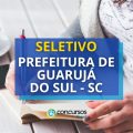 Prefeitura de Guarujá do Sul – SC abre processo seletivo