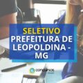 Prefeitura de Leopoldina – MG abre novo edital de processo seletivo