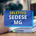 SEDESE MG publica edital de processo seletivo