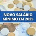 Salário mínimo 2025: confira valor proposto pelo Governo