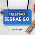 Sebrae GO lança processo seletivo; ganhos de R$ 7,9 mil