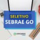 Sebrae GO lança processo seletivo; ganhos de R$ 7,9 mil
