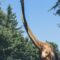 Qual foi o mamífero terrestre mais alto que já existiu no mundo?