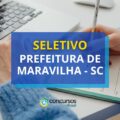 Prefeitura de Maravilha – SC paga até R$ 5,5 mil em seletivo