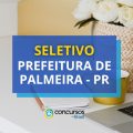 Prefeitura de Palmeira – PR lança edital nº 003/2024 de seletivo