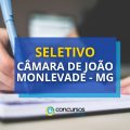 Câmara de João Monlevade – MG abre edital de processo seletivo