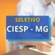 CIESP - MG divulga nova oportunidade através de seletivo