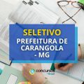 Prefeitura de Carangola – MG publica seletivo para ACS e ACE