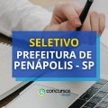 Prefeitura de Penápolis – SP publica edital de processo seletivo