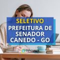 Prefeitura de Senador Canedo – GO: seletivos com 369 vagas