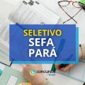 SEFA PA realiza processo seletivo; mais de R$ 8 mil por mês