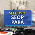 SEOP PA abre processo seletivo; confira as oportunidades