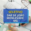 DAE de João Monlevade – MG: quais as vagas do seletivo 11/2024