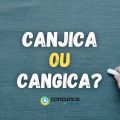 “Canjica” ou “Cangica”: qual é o jeito certo de escrever?