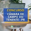 Concurso Câmara de Campo do Tenente – PR: edital publicado