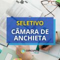 Câmara de Anchieta – SC abre processo seletivo simplificado